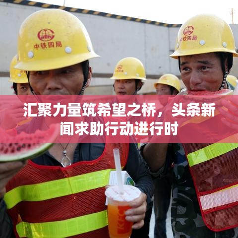汇聚力量筑希望之桥，头条新闻求助行动进行时