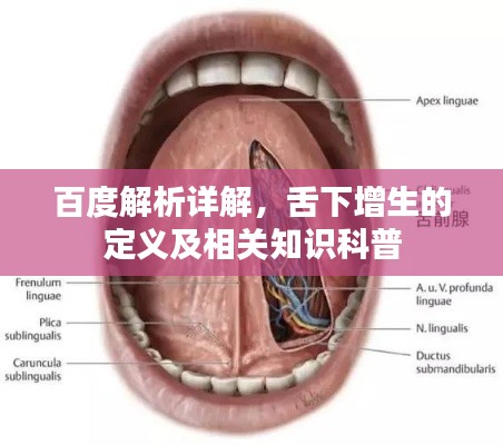 明夷于飞 第2页