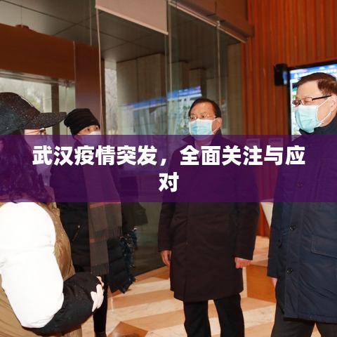 武汉疫情突发，全面关注与应对