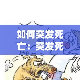 如何突发死亡：突发死亡是什么原因 