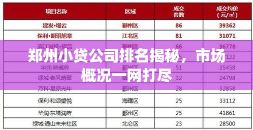 郑州小贷公司排名揭秘，市场概况一网打尽