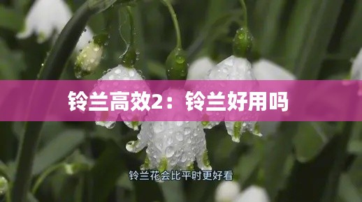弃文就武 第2页