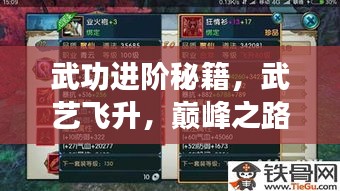 武功进阶秘籍，武艺飞升，巅峰之路全攻略！