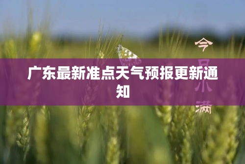 日就月将 第2页