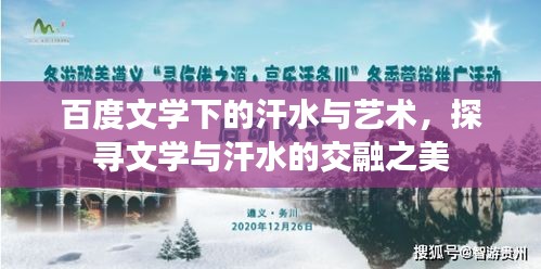 百度文学下的汗水与艺术，探寻文学与汗水的交融之美