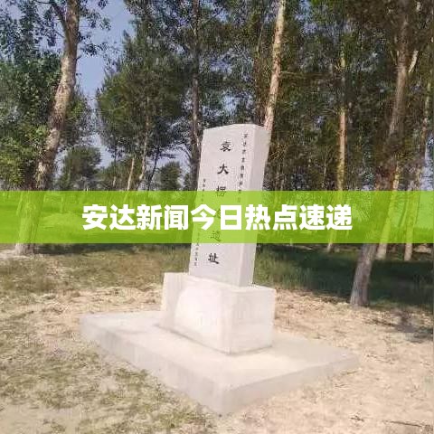 安达新闻今日热点速递