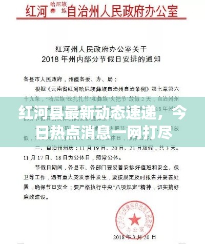 不飞则已 第2页