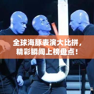全球海豚表演大比拼，精彩瞬间上榜盘点！