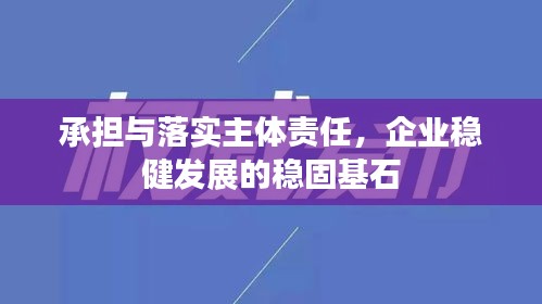 承担与落实主体责任，企业稳健发展的稳固基石