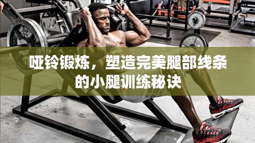 哑铃锻炼，塑造完美腿部线条的小腿训练秘诀