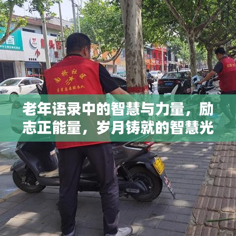 老年语录中的智慧与力量，励志正能量，岁月铸就的智慧光芒