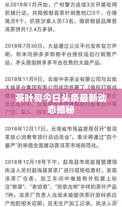 茶叶哥今日头条最新动态揭秘
