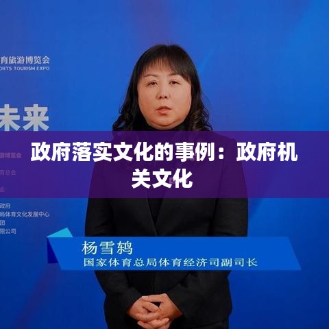 政府落实文化的事例：政府机关文化 