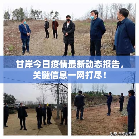 甘岸今日疫情最新动态报告，关键信息一网打尽！