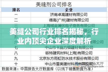 美缝公司行业排名揭秘，行业内顶尖企业深度解析