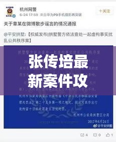 张传培最新案件攻略揭秘，法律专家深度解读，案件细节一网打尽！