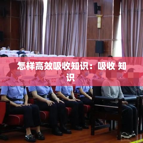 怎样高效吸收知识：吸收 知识 