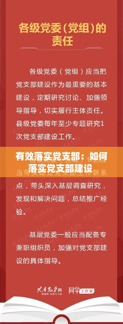 有效落实党支部：如何落实党支部建设 