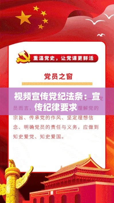 视频宣传党纪法条：宣传纪律要求 