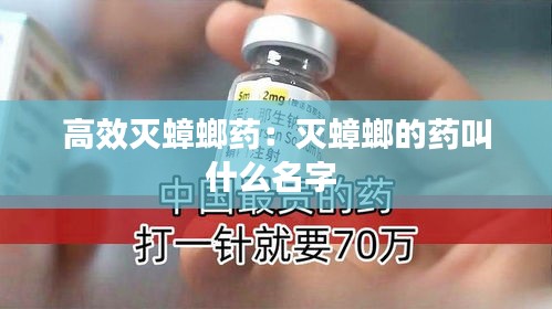 高效灭蟑螂药：灭蟑螂的药叫什么名字 