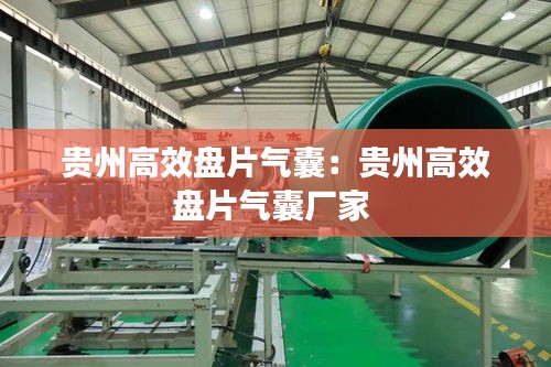 贵州高效盘片气囊：贵州高效盘片气囊厂家 