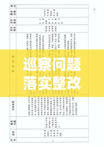 巡察问题落实整改承诺：巡察整改落实措施清单 