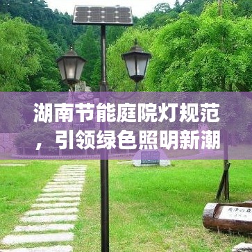 达官贵人 第2页