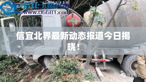 信宜北界最新动态报道今日揭晓！