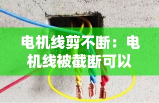 电机线剪不断：电机线被截断可以接么 