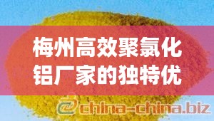 梅州高效聚氯化铝厂家的独特优势与特点解析