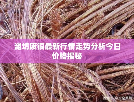 潍坊废铜最新行情走势分析今日价格揭秘