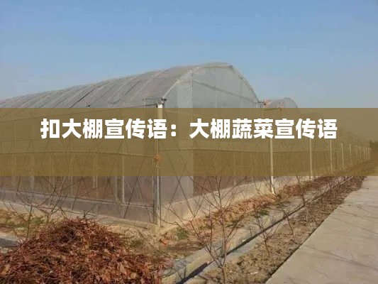 扣大棚宣传语：大棚蔬菜宣传语 