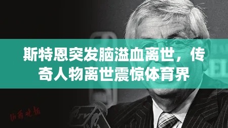 斯特恩突发脑溢血离世，传奇人物离世震惊体育界