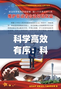 科学高效有序：科学有序执行坚决 