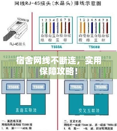 百鸟归巢 第2页