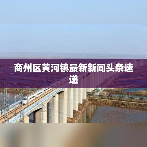 商州区黄河镇最新新闻头条速递