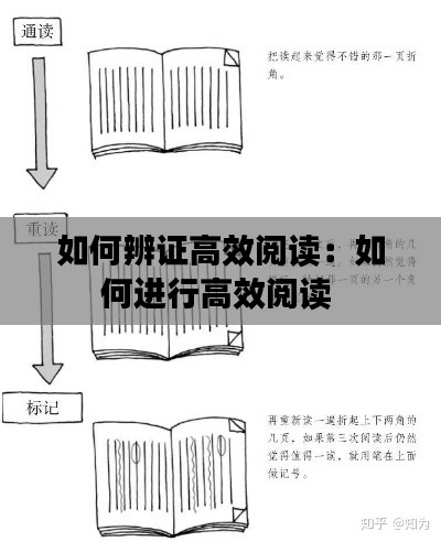 如何辨证高效阅读：如何进行高效阅读 
