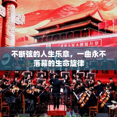 不断弦的人生乐章，一曲永不落幕的生命旋律