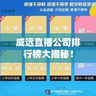 威远直播公司排行榜大揭秘！