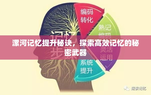 漯河记忆提升秘诀，探索高效记忆的秘密武器