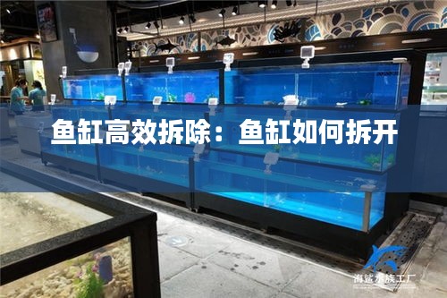 鱼缸高效拆除：鱼缸如何拆开 