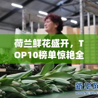 屦贱踊贵 第2页