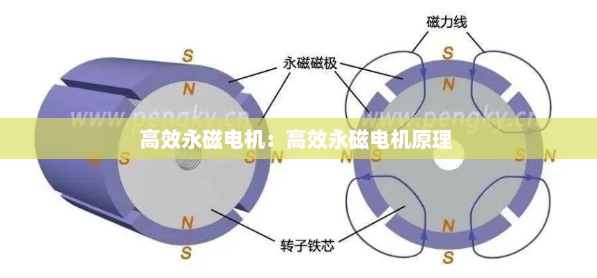 高效永磁电机：高效永磁电机原理 