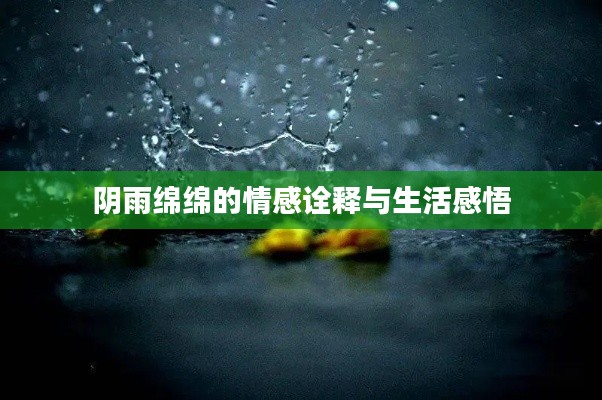 阴雨绵绵的情感诠释与生活感悟