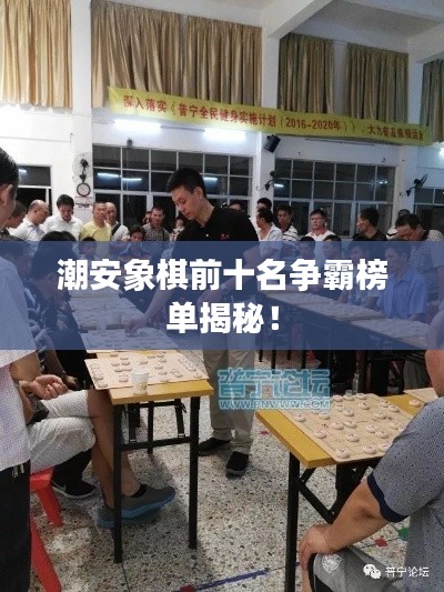 潮安象棋前十名争霸榜单揭秘！