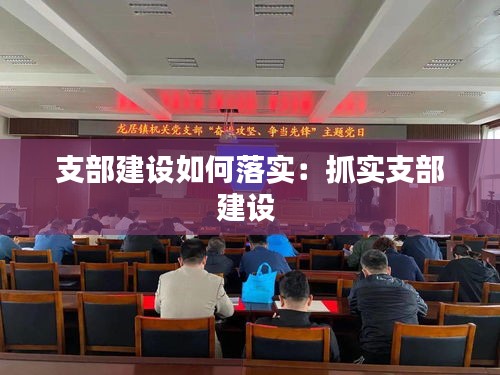 支部建设如何落实：抓实支部建设 