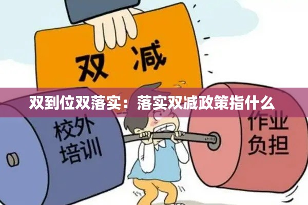 双到位双落实：落实双减政策指什么 