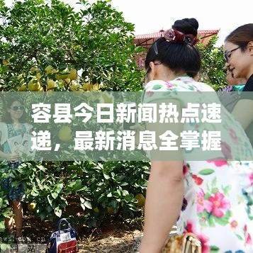 容县今日新闻热点速递，最新消息全掌握！