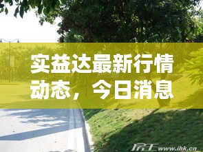 实益达最新行情动态，今日消息一网打尽！