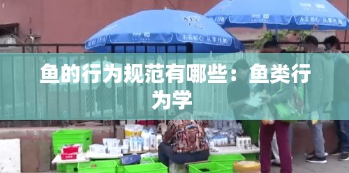 鱼的行为规范有哪些：鱼类行为学 